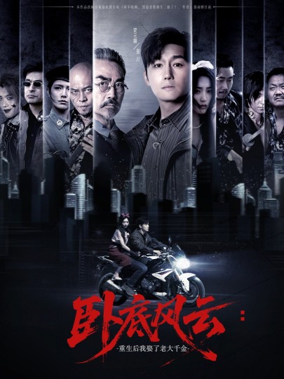 卧底风云：重生后我娶了老大千金